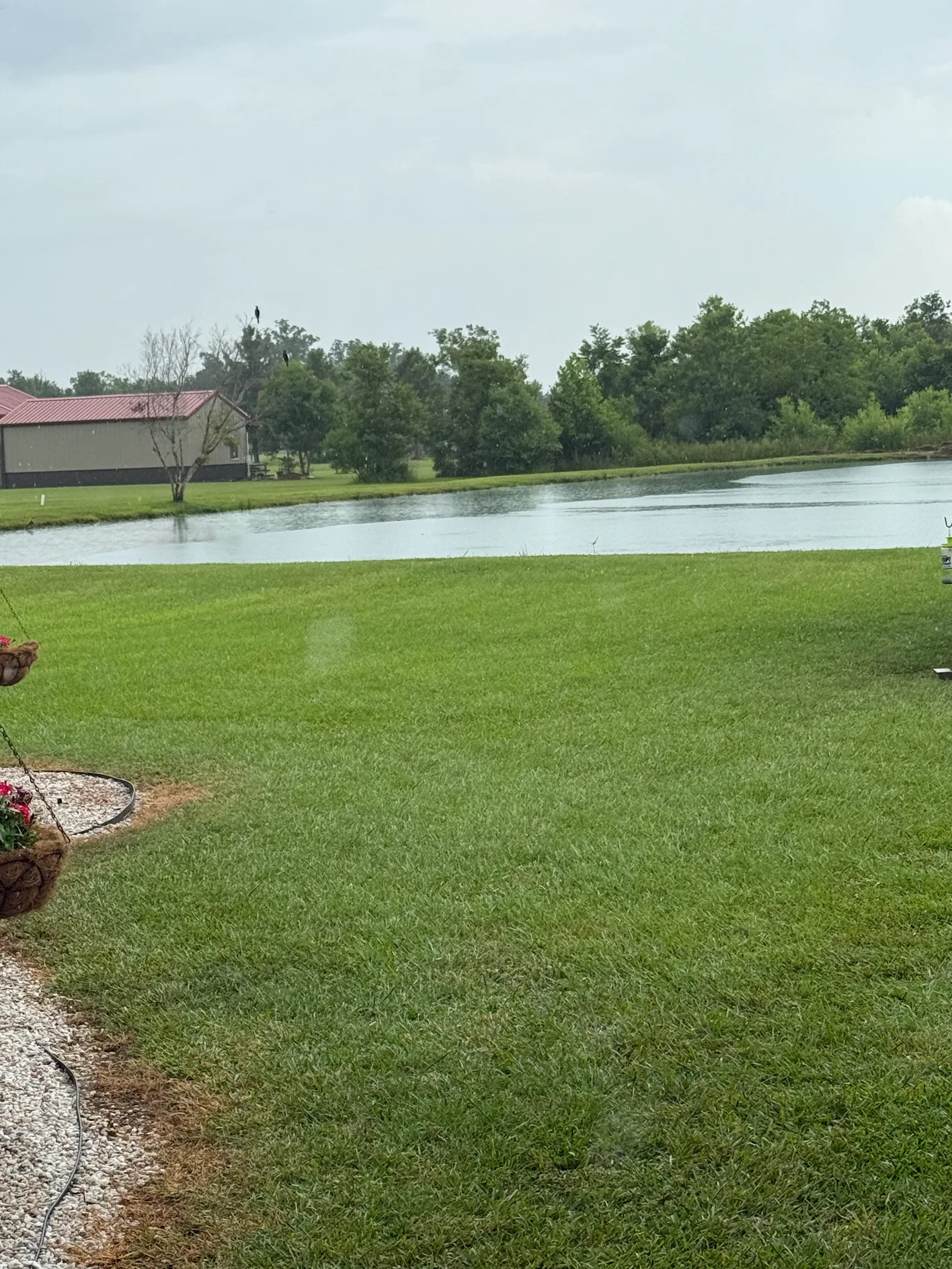 Pond cleaning result 2